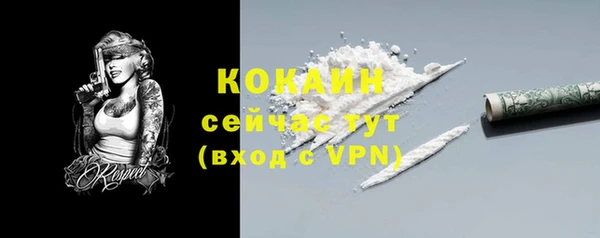 твердый Вязьма