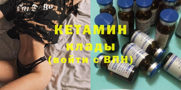 шишки Коряжма