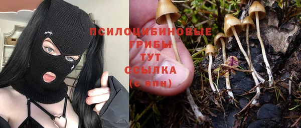a pvp Верея