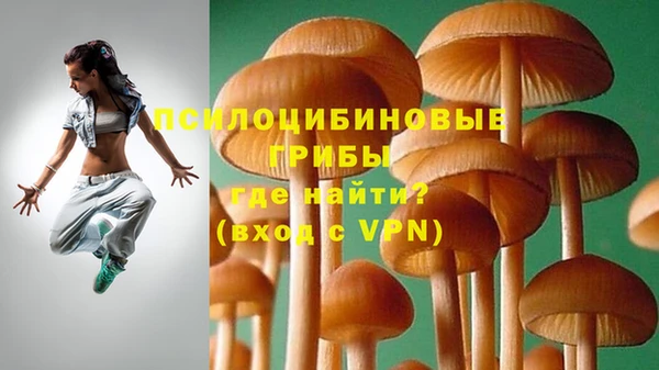 твердый Вязьма