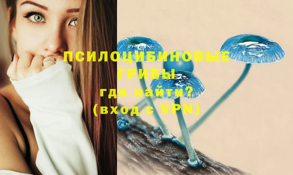a pvp Верея