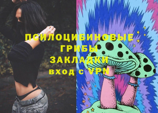 прущий лед Костерёво