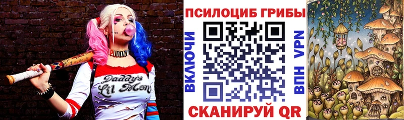 Псилоцибиновые грибы мухоморы  Западная Двина 