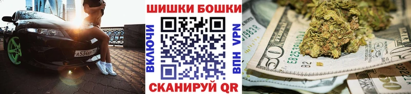 Шишки марихуана планчик  Западная Двина 